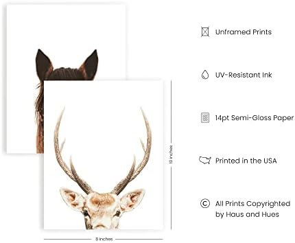 הגוונים והגוונים סט של 4 תמונות חיות חווה כפריות - פרה צבי סוס ותמונות עזים עיצוב קיר | תמונות בית חווה
